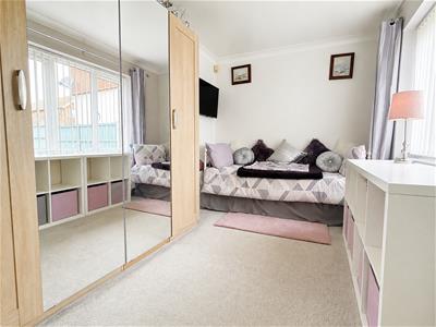 Picture 15